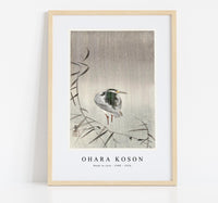 
              Ohara Koson - Kwak in rain (1900 - 1936) by Ohara Koson (1877-1945)
            