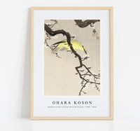 
              Ohara Koson - Chinese oriole on plum blossom branch (1900 - 1910) by Ohara Koson (1877-1945)
            
