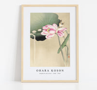 
              Ohara Koson - Songbird and Lotus (1900 - 1936) by Ohara Koson (1877-1945)
            