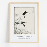 Numata Kashu - Tufted-Teal and Reed Flower illustration from Pictorial Monograph of Birds (1885)