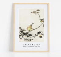 
              Ohara Koson - Bunting on blossom branch (1900 - 1930) by Ohara Koson (1877-1945)
            