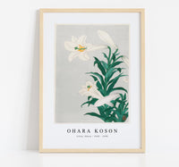 
              Ohara Koson - Lilies, Ohara ( 1920 - 1930) by Ohara Koson (1877-1945)
            