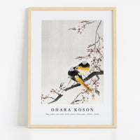 Ohara Koson - Two sable red tails with cherry blossom (1900 - 1936) by Ohara Koson (1877-1945)