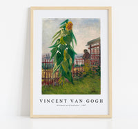 
              Vincent Van Gogh - Allotment with Sunflower (1887)
            