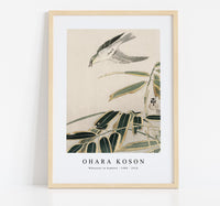 
              Ohara koson - Wheatear in bamboo (1900 - 1910) by Ohara Koson (1877-1945)
            