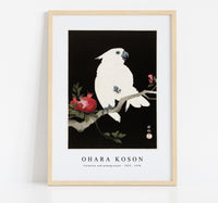 
              Ohara Koson - Cockatoo and pomegranate (1925 - 1936) by Ohara Koson (1877-1945)
            