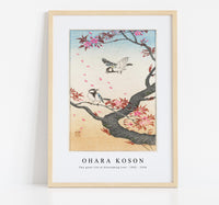 
              Ohara Koson - Two great tits at blossoming tree (1925 - 1936) by Ohara Koson (1877-1945)
            