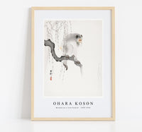 
              Ohara Koson - Monkey on a tree branch (1900-1930) by Ohara Koson (1877-1945)
            