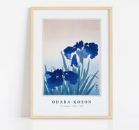 
              Ohara Koson - Iris flowers (1925 - 1936) by Ohara Koson (1877-1945)
            