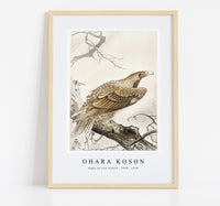 
              Ohara Koson - Eagle on tree branch (1900 - 1910) by Ohara Koson (1877-1945)
            
