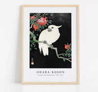 
              Ohara Koson - Cockatoo and Pomegranate by Ohara Koson (1877–1945)
            