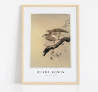 
              Ohara Koson - Hawk (1887-1945) by Ohara Koson (1877-1945)
            