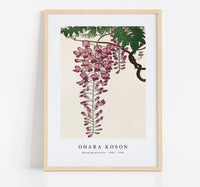 
              Ohara Koson - Blooming wisteria (1900 - 1930) by Ohara Koson(1877-1945)
            