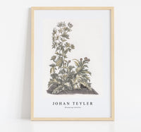 
              Johan Teyler - Blooming thistles
            