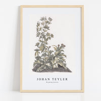 Johan Teyler - Blooming thistles