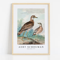 Aert schouman-Stone - curlew-1777