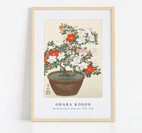 
              Ohara Koson - Blooming azalea in brown pot (1920 - 1930) by Ohara Koson (1877-1945)
            