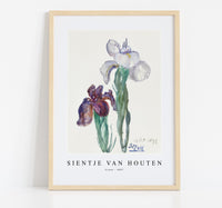
              Sientje Van Houten - Irises 1897
            