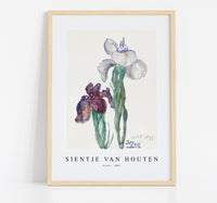 
              Sientje Van Houten - Irises 1897
            