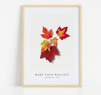 
              Mary Vaux Walcott - Autumn Leafes  (1875)
            