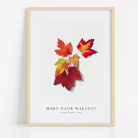 Mary Vaux Walcott - Autumn Leafes  (1875)