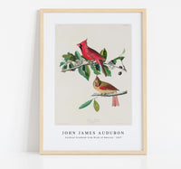 
              John James Audubon - Cardinal Grosbeak from Birds of America (1827)
            
