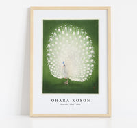 
              Ohara Koson - Peacock (1925 - 1936)
            