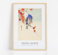 
              Ohara Koson - Two pigeons on autumn branch (1900 - 1936) by Ohara Koson (1877-1945)
            