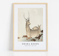 
              Ohara Koson - Couple of deers (1900 - 1930) by Ohara Koson (1877-1945)
            