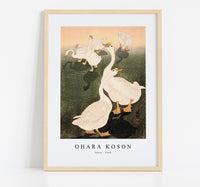 
              Ohara Koson - Geese (1926)
            