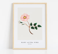 
              Mary Altha Nims - Wild Rose
            