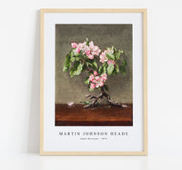
              Martin Johnson Heade - Apple Blossoms (1873)
            