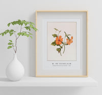 
              M. de Gijselaar - Orange flower by M. de Gijselaar (1820)
            