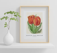 
              Sientje Van Houten - Two Red Tulips
            