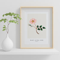 Mary Altha Nims - Wild Rose