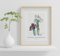 
              Sientje Van Houten - Irises 1897
            