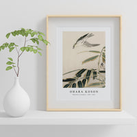 Ohara koson - Wheatear in bamboo (1900 - 1910) by Ohara Koson (1877-1945)