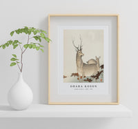 
              Ohara Koson - Couple of deers (1900 - 1930) by Ohara Koson (1877-1945)
            