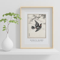 Numata Kashu - Hondo Great Spotted Woodpecker illustration from Pictorial Monograph of Birds (1885)