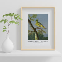 Barbara Regina Dietzsch - Groenling (European Greenfinch)