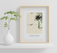 
              Ohara Koson - Bird at flowering bean plant (1900 - 1930) by Ohara Koson (1877-1945)
            