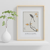 Numata Kashu - Japanese Long-tailed Tit and Maple Tree illustration from Pictorial Monograph of Birds (1885)