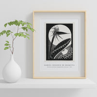 Samuel Jessurun De Mesquita - Strelitzia overblown (Uitgebloeide strelitzia) (1934)