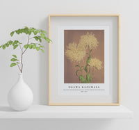 
              Ogawa Kazumasa - Beautiful photomechanical prints of Three Yellow Chrysanthemums (1887–1897)
            