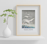 
              Ohara Koson - Descending egrets in snow (1925 - 1936)
            