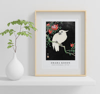 
              Ohara Koson - Cockatoo and Pomegranate by Ohara Koson (1877–1945)
            