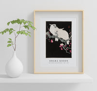 
              Ohara Koson - Two cockatoo and plum blossom (1925 - 1936) by Ohara Koson (1877-1945)
            