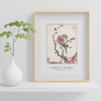 Numata Kashu - Pine Bunting and Plum Tree illustration from Pictorial Monograph of Birds