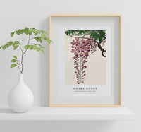 
              Ohara Koson - Blooming wisteria (1900 - 1930) by Ohara Koson(1877-1945)
            