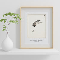 Numata Kashu - Sparrow illustration from Pictorial Monograph of Birds (1885)